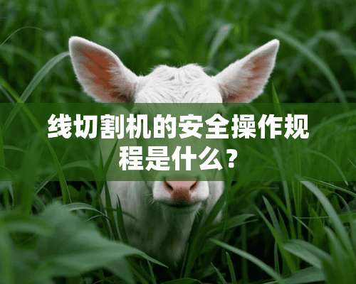 线切割机的安全操作规程是什么？