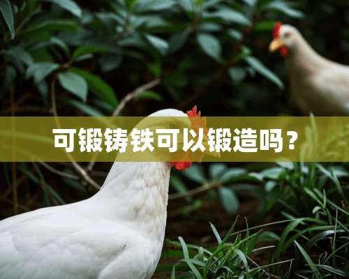 可锻铸铁可以锻造吗？