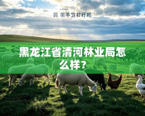 黑龙江省清河林业局怎么样？