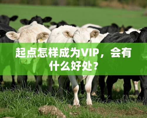 起点怎样成为VIP，会有什么好处？