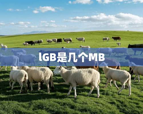 lGB是几个MB