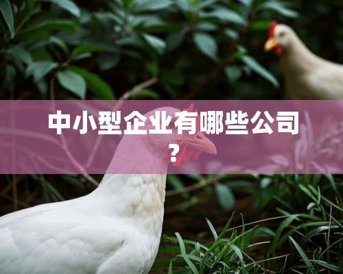 中小型企业有哪些公司？