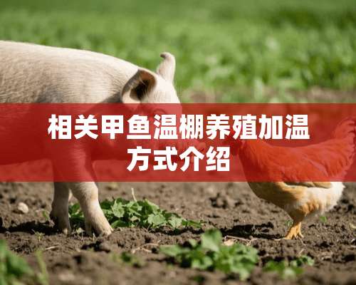 相关甲鱼温棚养殖加温方式介绍