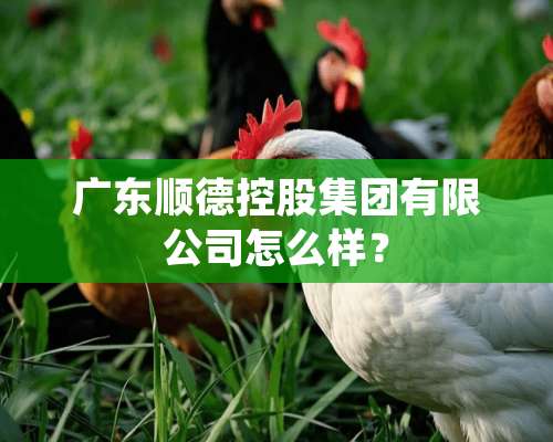 广东顺德控股集团有限公司怎么样？