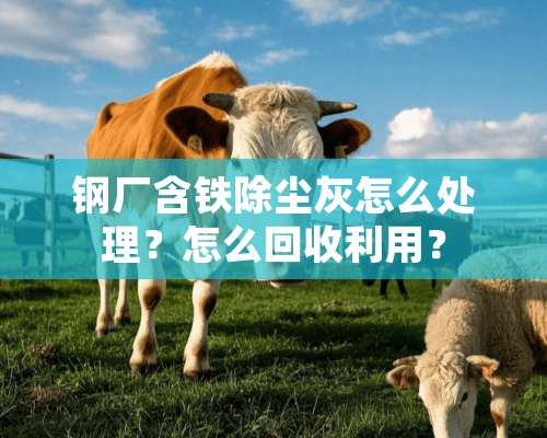 钢厂含铁除尘灰怎么处理？怎么回收利用？