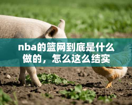 nba的篮网到底是什么做的，怎么这么结实