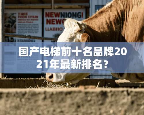 国产电梯前十名品牌2021年最新排名？