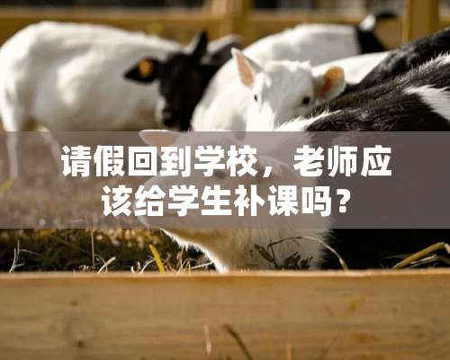 请假回到学校，老师应该给学生补课吗？