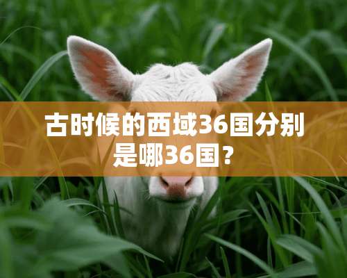 古时候的西域36国分别是哪36国？