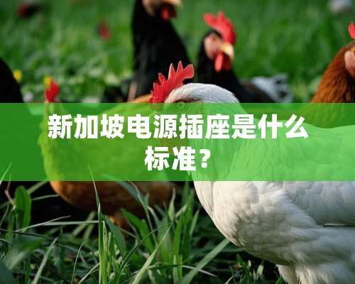 新加坡电源插座是什么标准？