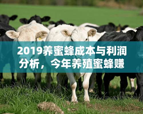 2019养蜜蜂成本与利润分析，今年养殖蜜蜂赚钱吗