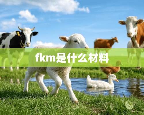 fkm是什么材料