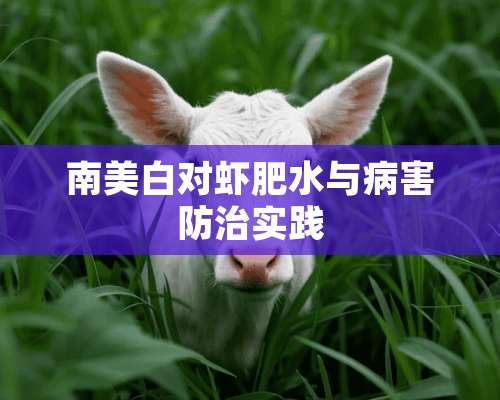 南美白对虾肥水与病害防治实践