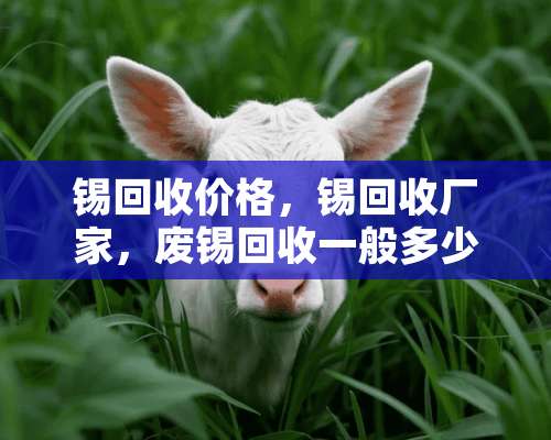 锡回收价格，锡回收厂家，废锡回收一般多少钱一斤