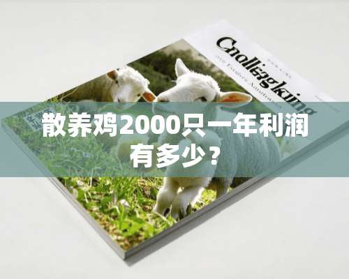 散养鸡2000只一年利润有多少？