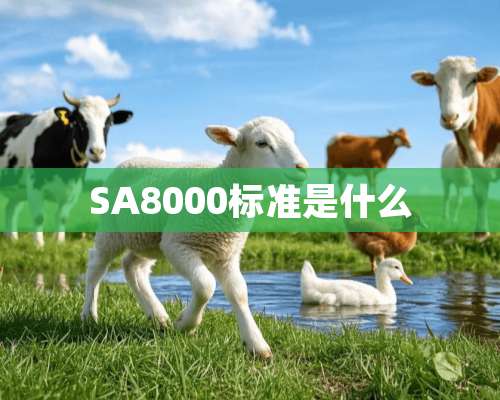 SA8000标准是什么