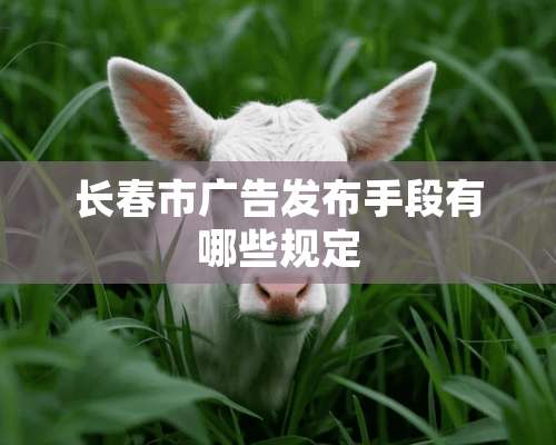 长春市广告发布手段有哪些规定