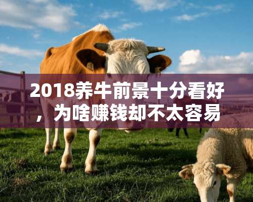 2018养牛前景十分看好，为啥赚钱却不太容易？