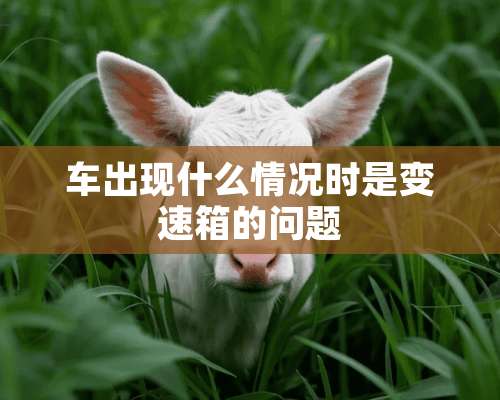 车出现什么情况时是变速箱的问题