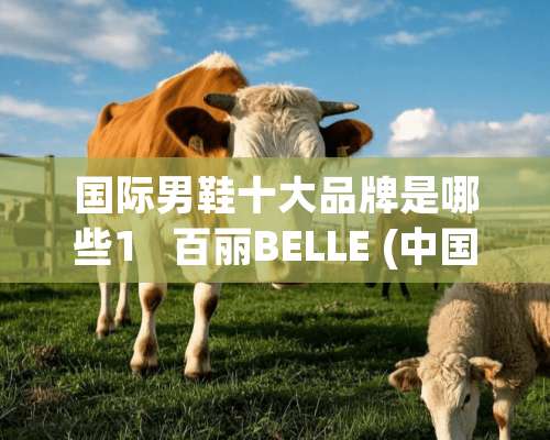 国际男鞋十大品牌是哪些1   百丽BELLE (中国驰名商标