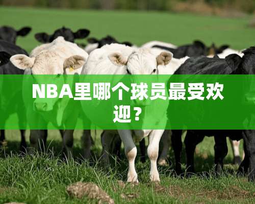 NBA里哪个球员最受欢迎？