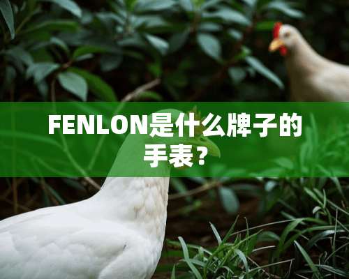 FENLON是什么牌子的手表？