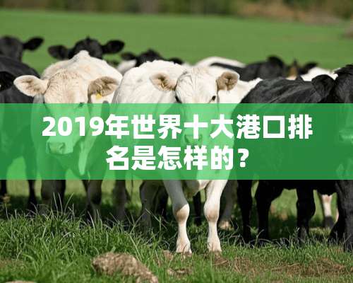 2019年世界十大港口排名是怎样的？