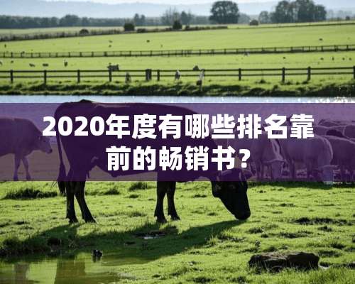 2020年度有哪些排名靠前的畅销书？