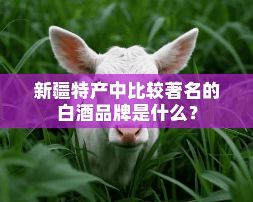 新疆特产中比较著名的白酒品牌是什么？