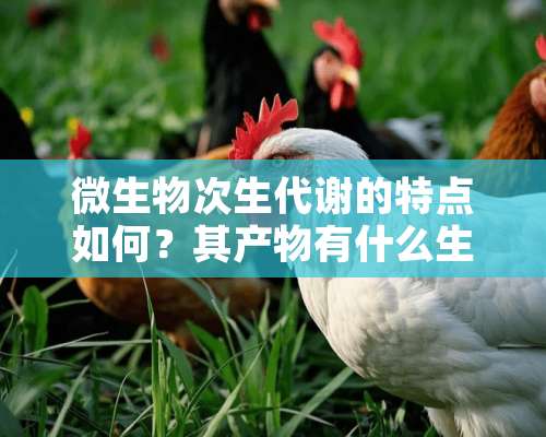 微生物次生代谢的特点如何？其产物有什么生理功能