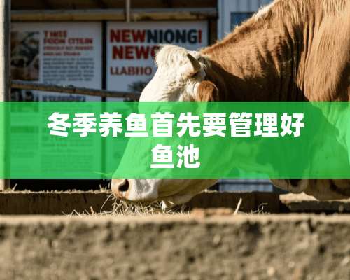 冬季养鱼首先要管理好鱼池