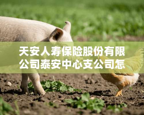 天安人寿保险股份有限公司泰安中心支公司怎么样？