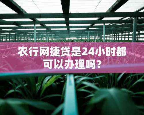 农行网捷贷是24小时都可以办理吗？