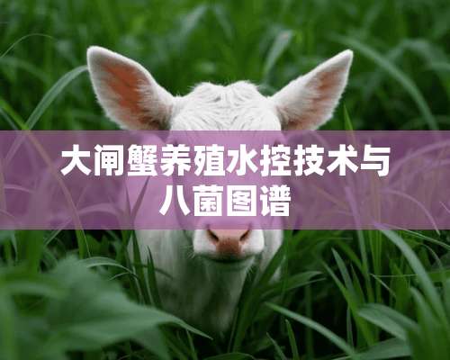 大闸蟹养殖水控技术与八菌图谱