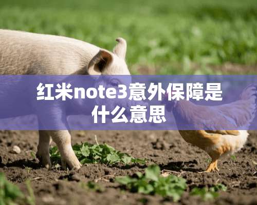 红米note3意外保障是什么意思