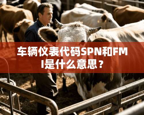 车辆仪表代码SPN和FMI是什么意思？