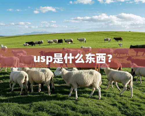 usp是什么东西？