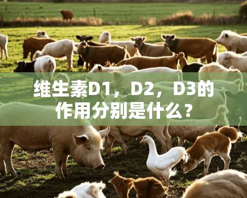 维生素D1，D2，D3的作用分别是什么？