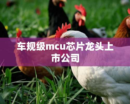 车规级mcu芯片龙头上市公司