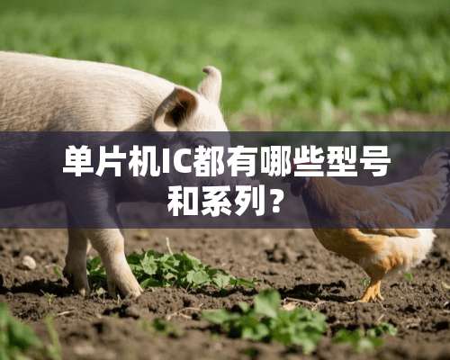 单片机IC都有哪些型号和系列？