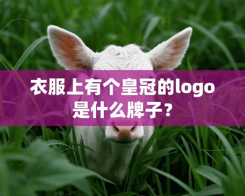 衣服上有个皇冠的logo是什么牌子？