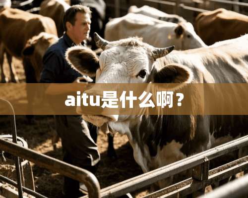 aitu是什么啊？