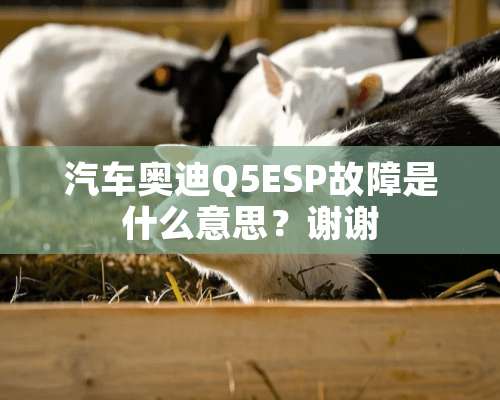 汽车奥迪Q5ESP故障是什么意思？谢谢