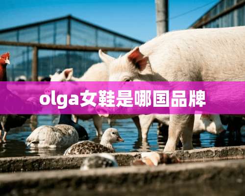 olga女鞋是哪国品牌