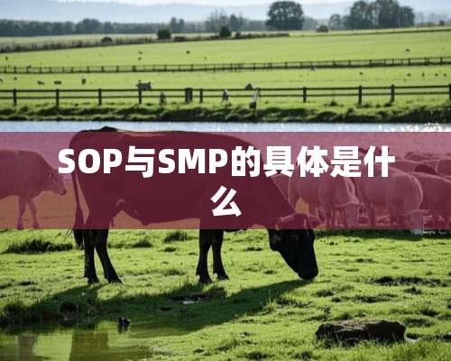 SOP与SMP的具体是什么