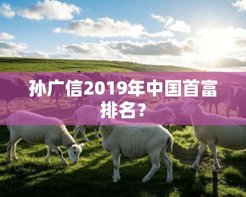 孙广信2019年中国首富排名？