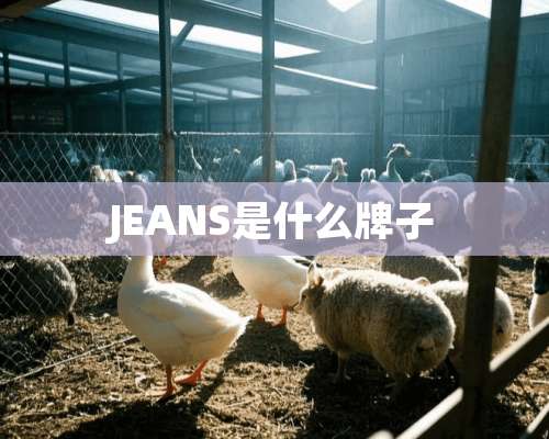 JEANS是什么牌子