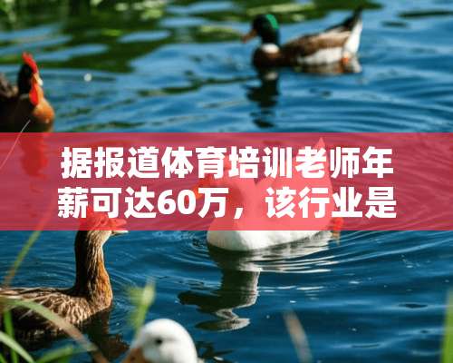 据报道体育培训老师年薪可达60万，该行业是人才缺口到底有多大？