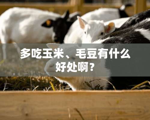 多吃玉米、毛豆有什么好处啊？