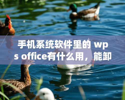 手机系统软件里的 wps office有什么用，能卸载吗，